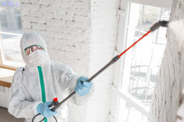 Best Airborne Mold Testing  in Elkhorn City, KY