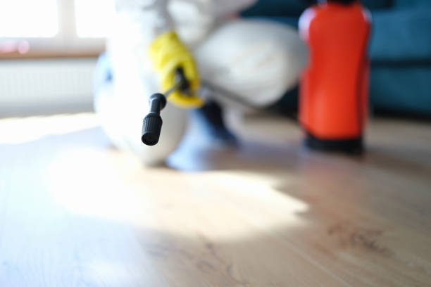 Mold Documentation for Insurance Claims in Elkhorn City, KY