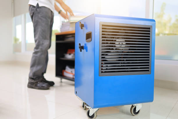 Best Biohazard Mold Removal  in Elkhorn City, KY