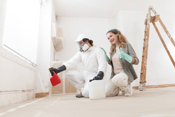 Best Dehumidification Services  in Elkhorn City, KY
