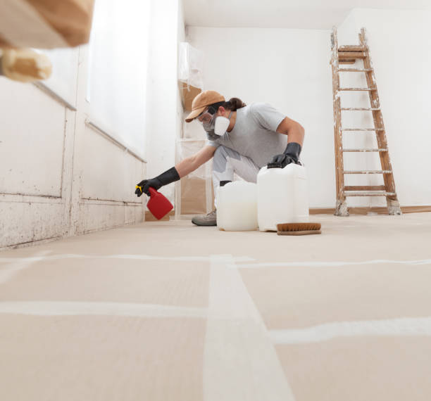 Best Forensic Mold Investigation  in Elkhorn City, KY